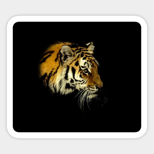 Tiger portrait Sticker by Guardi